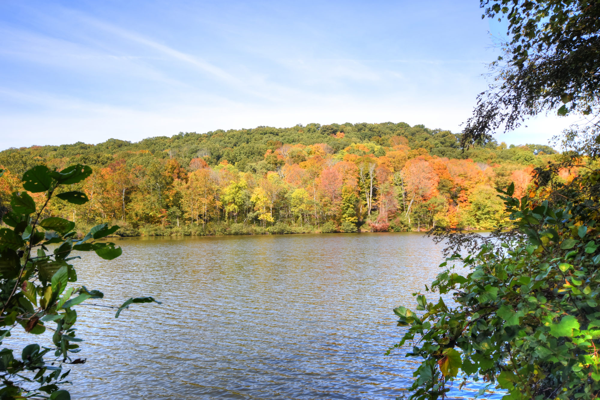 Scenic daytime view of the lake at Raccoon Park