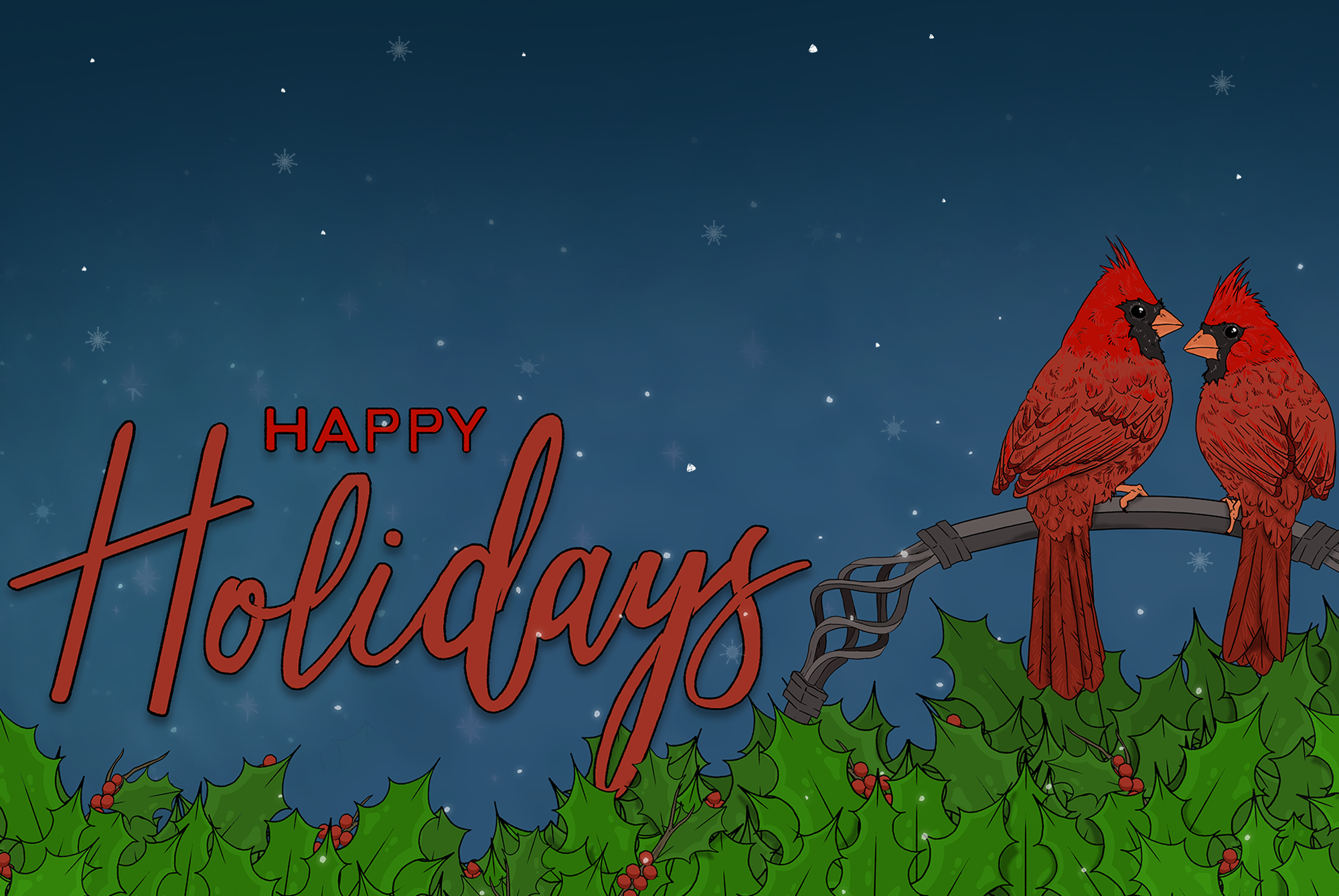 A holiday greeting Illustration of two cardinals perched on holly leaves. Illustration texts reads "Happy Hollidays"